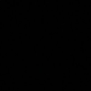 Meet your Posher, Daniela